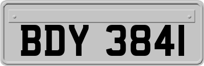 BDY3841