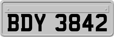 BDY3842