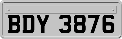 BDY3876