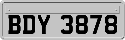 BDY3878