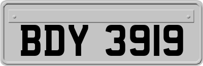 BDY3919