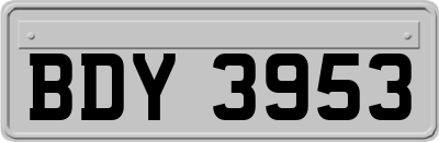 BDY3953