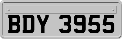 BDY3955