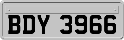 BDY3966