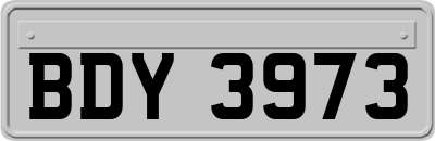 BDY3973