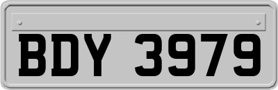 BDY3979