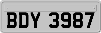 BDY3987