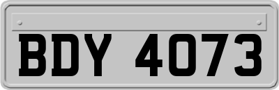 BDY4073