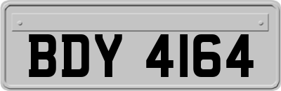 BDY4164