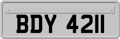 BDY4211
