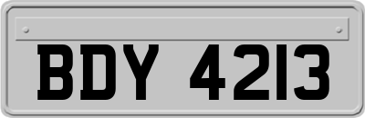 BDY4213