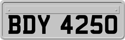 BDY4250