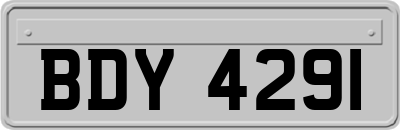 BDY4291