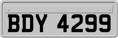 BDY4299