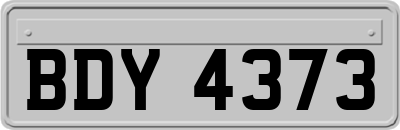 BDY4373