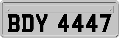 BDY4447