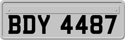 BDY4487