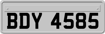 BDY4585