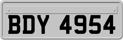 BDY4954