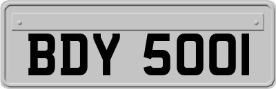 BDY5001