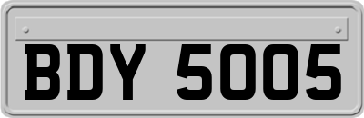BDY5005