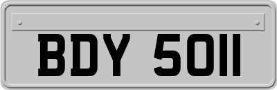 BDY5011