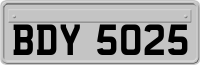 BDY5025