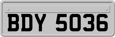 BDY5036