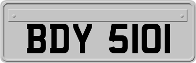BDY5101
