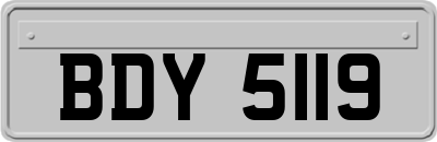 BDY5119