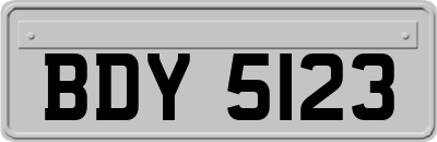 BDY5123