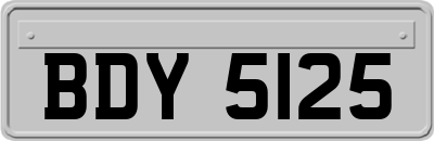 BDY5125