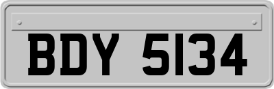 BDY5134