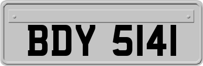 BDY5141