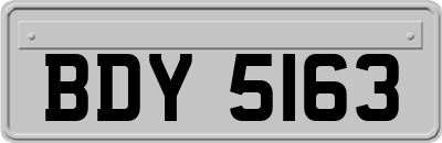 BDY5163