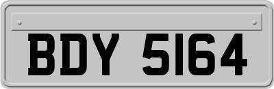 BDY5164