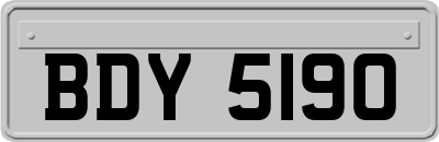 BDY5190