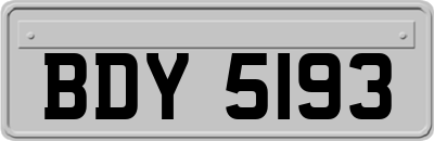 BDY5193