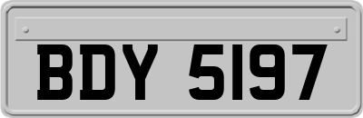 BDY5197