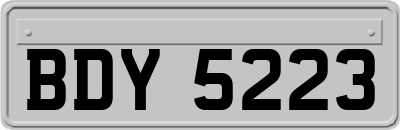 BDY5223