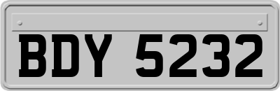 BDY5232