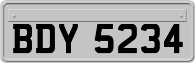BDY5234