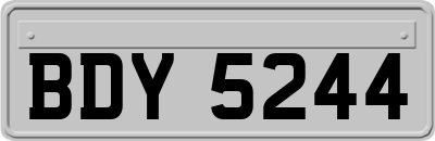 BDY5244