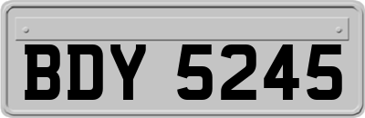 BDY5245