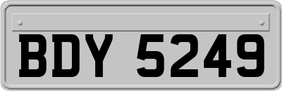 BDY5249