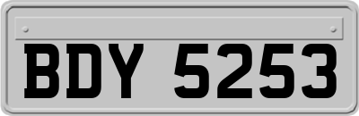 BDY5253
