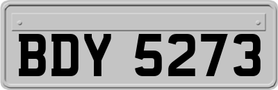 BDY5273