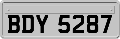 BDY5287