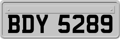 BDY5289