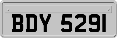 BDY5291